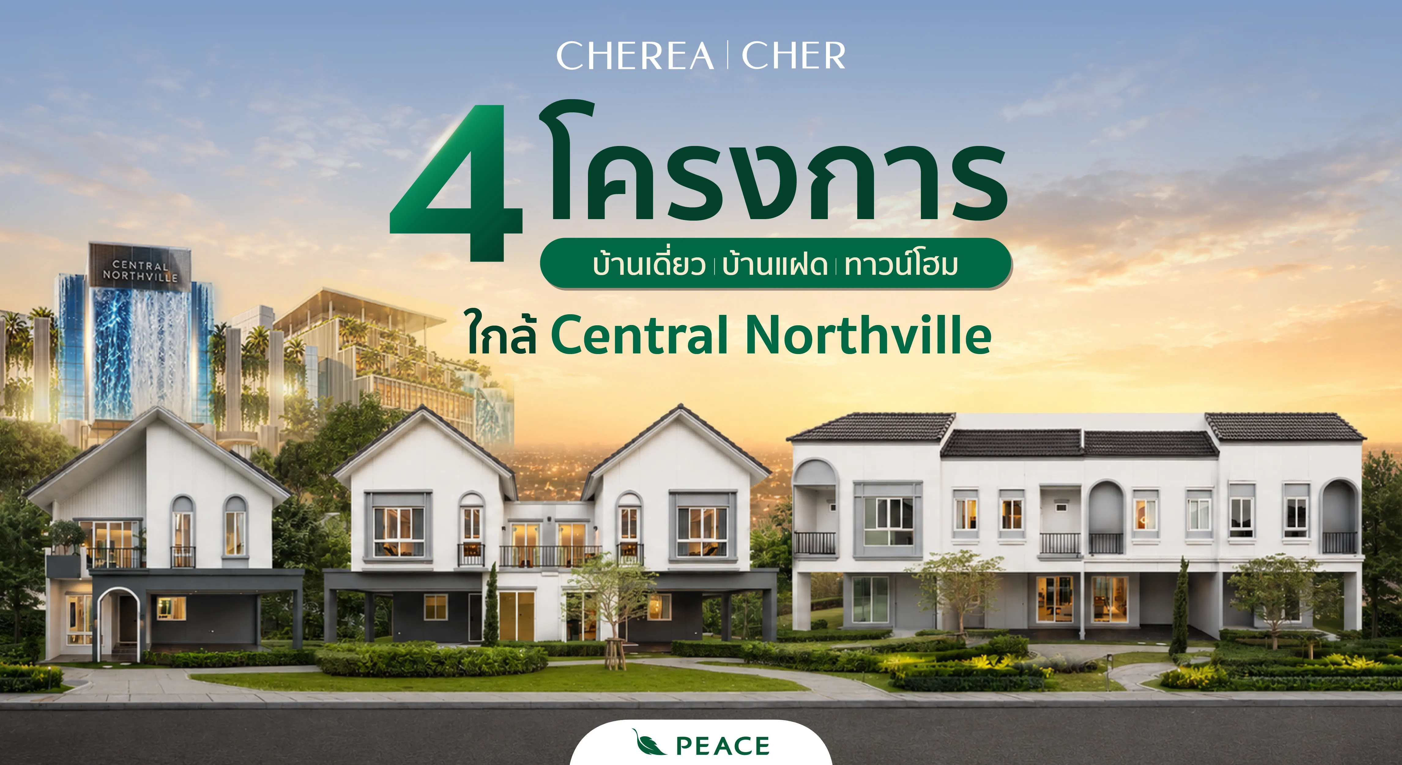 Zoning Banner | Peace & Living